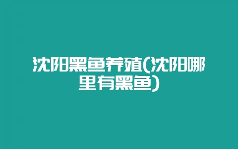 沈阳黑鱼养殖(沈阳哪里有黑鱼)-会东网
