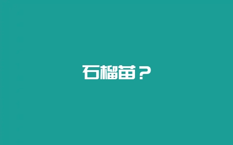 石榴苗?插图 石榴苗?插图