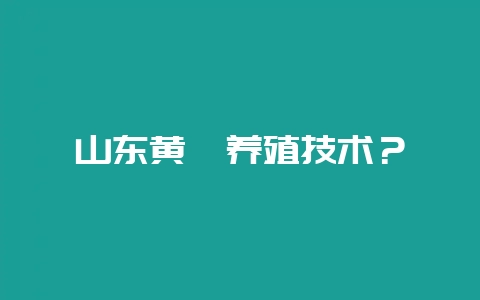山东黄鳝养殖技术？-会东网