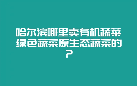 哈尔滨哪里卖有机蔬菜绿色蔬菜原生态蔬菜的？-会东网