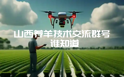 山西养羊技术交流群号 谁知道-会东网