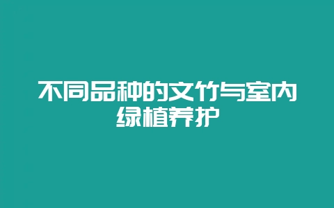 不同品种的文竹与室内绿植养护插图 不同品种的文竹与室内绿植养护插图