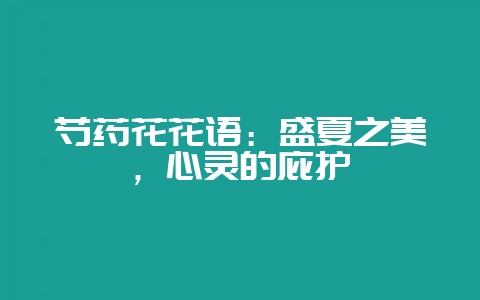 芍药花花语:盛夏之美,心灵的庇护插图 芍药花花语:盛夏之美,心灵的庇护插图