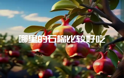 哪里的石榴比较好吃-会东网