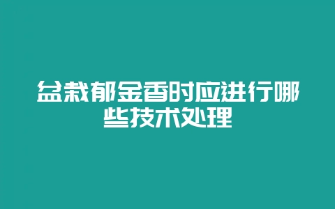 盆栽郁金香时应进行哪些技术处理-会东网