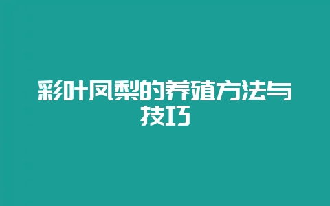 彩叶凤梨的养殖方法与技巧-会东网