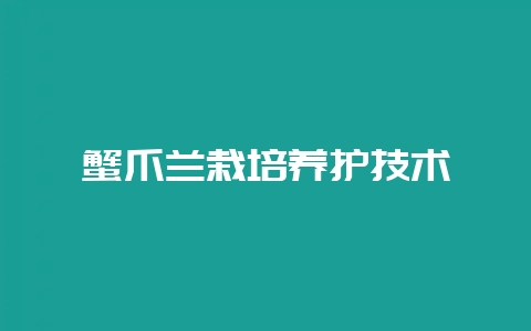 蟹爪兰栽培养护技术-会东网