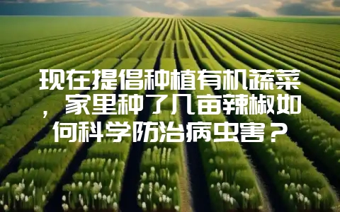 现在提倡种植有机蔬菜,家里种了几亩辣椒如何科学防治病虫害?插图 现在提倡种植有机蔬菜,家里种了几亩辣椒如何科学防治病虫害?插图