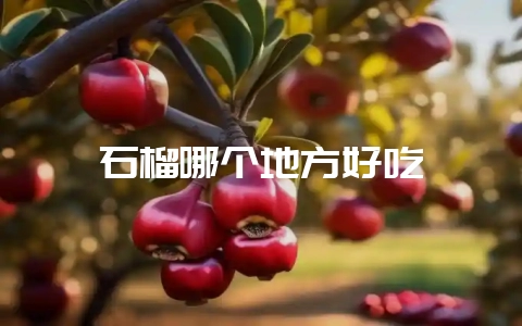 石榴哪个地方好吃-会东网