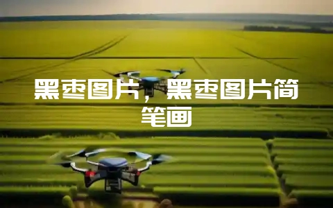 黑枣图片，黑枣图片简笔画-会东网