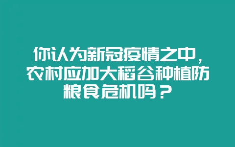 你认为新冠疫情之中，农村应加大稻谷种植防粮食危机吗？-会东网