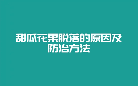 甜瓜花果脱落的原因及防治方法-会东网