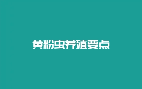 黄粉虫养殖要点-会东网