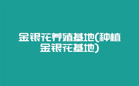 金银花养殖基地(种植金银花基地)插图 金银花养殖基地(种植金银花基地)插图