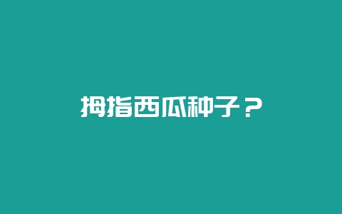 拇指西瓜种子？-会东网
