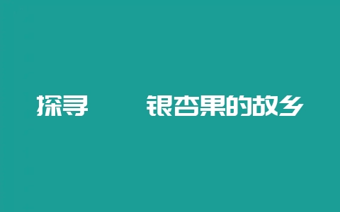 探寻琥珀银杏果的故乡-会东网