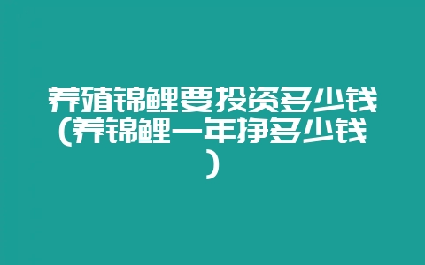 养殖锦鲤要投资多少钱(养锦鲤一年挣多少钱)插图 养殖锦鲤要投资多少钱(养锦鲤一年挣多少钱)插图