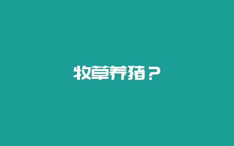 牧草养猪?插图 牧草养猪?插图