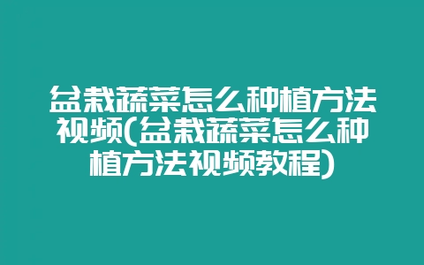 盆栽蔬菜怎么种植方法视频(盆栽蔬菜怎么种植方法视频教程)-会东网