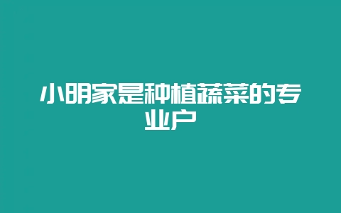 小明家是种植蔬菜的专业户-会东网
