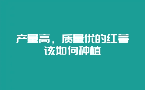 产量高，质量优的红薯该如何种植-会东网