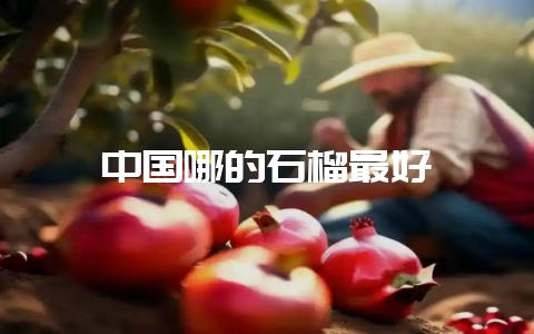 中国哪的石榴最好-会东网