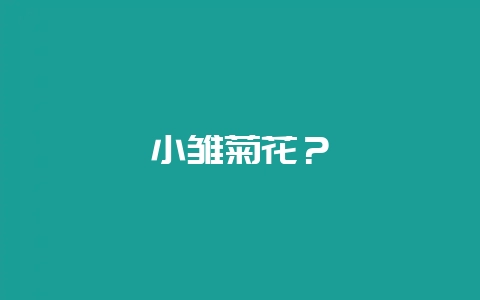 小雏菊花?插图 小雏菊花?插图