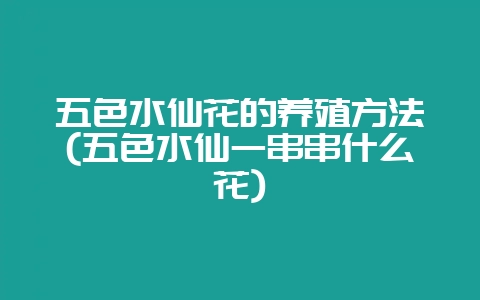 五色水仙花的养殖方法(五色水仙一串串什么花)-会东网