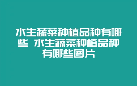 水生蔬菜种植品种有哪些 水生蔬菜种植品种有哪些图片-会东网