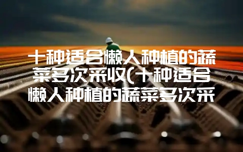 十种适合懒人种植的蔬菜多次采收(十种适合懒人种植的蔬菜多次采收方法)-会东网