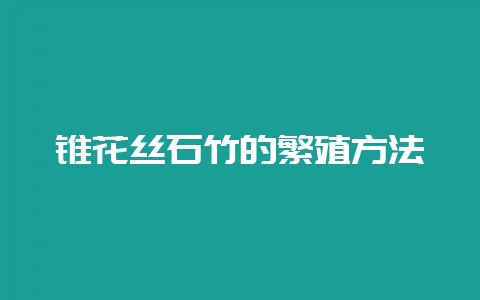 锥花丝石竹的繁殖方法-会东网