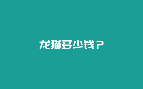 龙猫多少钱？-会东网