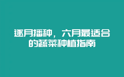逐月播种，六月最适合的蔬菜种植指南-会东网
