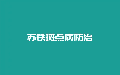 苏铁斑点病防治插图 苏铁斑点病防治插图