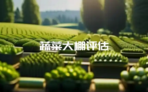 蔬菜大棚评估插图 蔬菜大棚评估插图
