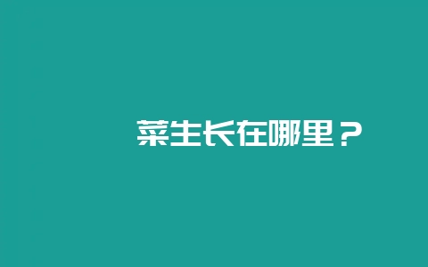 麒麟菜生长在哪里?插图 麒麟菜生长在哪里?插图