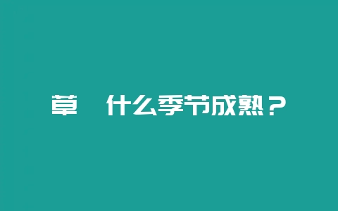 草莓什么季节成熟？-会东网