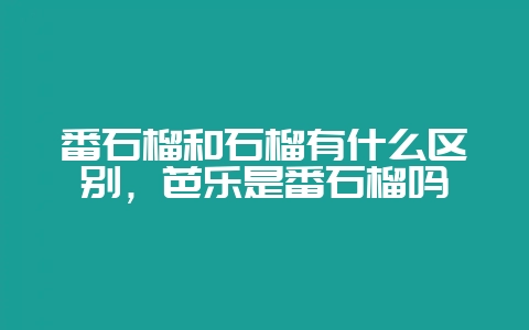 番石榴和石榴有什么区别,芭乐是番石榴吗插图 番石榴和石榴有什么区别,芭乐是番石榴吗插图