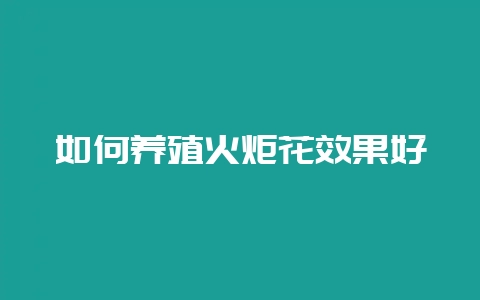 如何养殖火炬花效果好-会东网