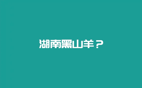 湖南黑山羊？-会东网