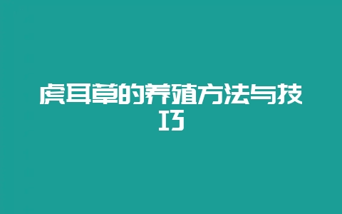 虎耳草的养殖方法与技巧-会东网