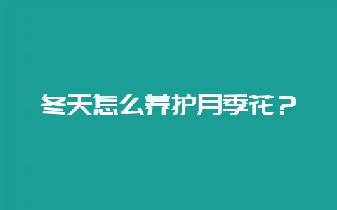 冬天怎么养护月季花?插图 冬天怎么养护月季花?插图