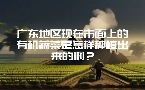 广东地区现在市面上的有机蔬菜是怎样种植出来的啊?插图 广东地区现在市面上的有机蔬菜是怎样种植出来的啊?插图