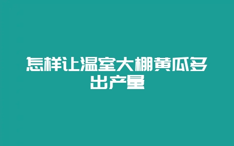 怎样让温室大棚黄瓜多出产量-会东网