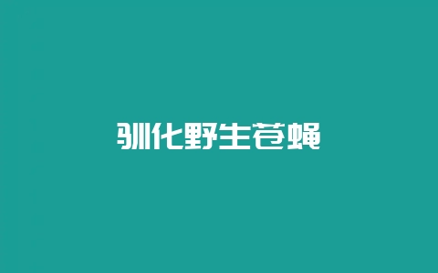 驯化野生苍蝇-会东网