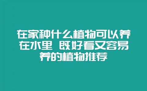 在家种什么植物可以养在水里 既好看又容易养的植物推荐插图 在家种什么植物可以养在水里 既好看又容易养的植物推荐插图
