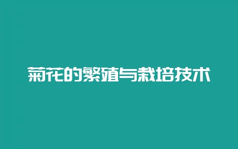 菊花的繁殖与栽培技术-会东网