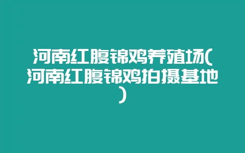 河南红腹锦鸡养殖场(河南红腹锦鸡拍摄基地)-会东网