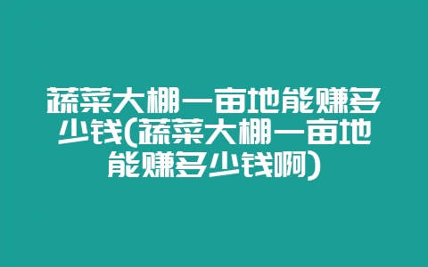 蔬菜大棚一亩地能赚多少钱(蔬菜大棚一亩地能赚多少钱啊)-会东网