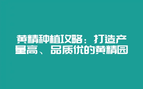 黄精种植攻略：打造产量高、品质优的黄精园-会东网